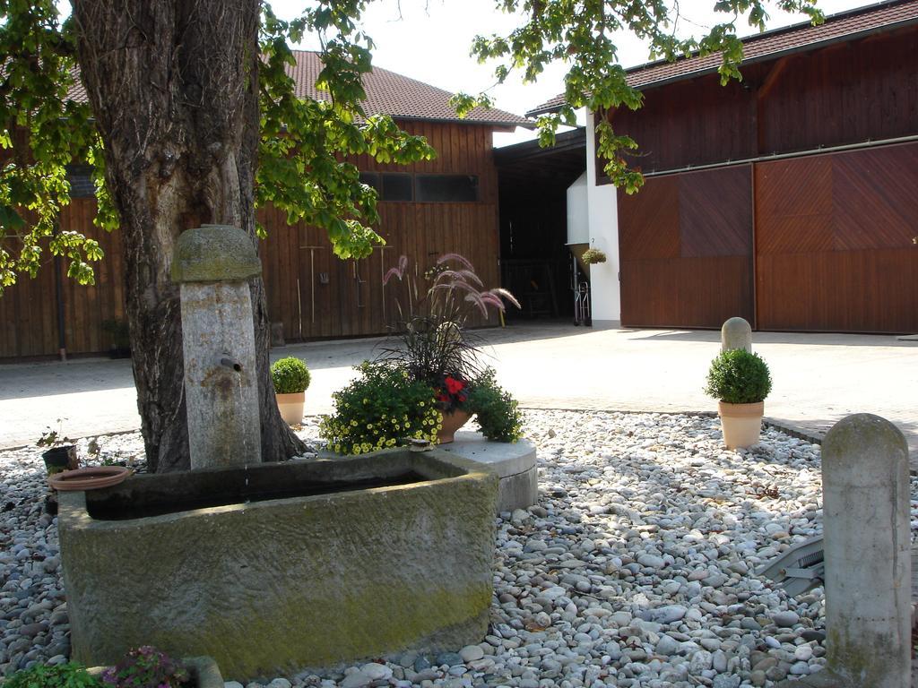 Gaestehaus Wildgehege Wilhelm Εξωτερικό φωτογραφία